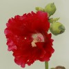 couleurs3.jpg
