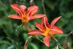couleurs3_3-7-09.JPG