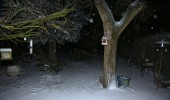neige-1~0.jpg