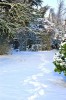 neige-2.jpg
