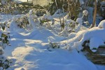 neige-3.jpg