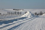 noël_2010-2.jpg