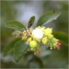 pluie3_2-8-09.jpg