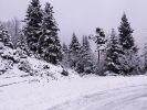 PICT0171 (Small).JPG