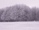 PICT0173.JPG