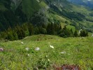 Aravis_020.JPG