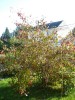Nom du fichier=Automne2011_01.jpg
Taille du fichier=139Ko
Dimensions : 450x600
Ajouté le : 22 Octobre 2011 Automne2011_01.jpg