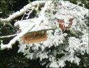 Nom du fichier=Neige0809_mangeoire.jpg
Taille du fichier=72Ko
Dimensions : 520x398
Ajouté le : 22 Novembre 2008 Neige0809_mangeoire.jpg