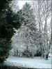 Nom du fichier=Neige0809_paysage01.jpg
Taille du fichier=88Ko
Dimensions : 390x520
Ajouté le : 22 Novembre 2008 Neige0809_paysage01.jpg