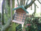 Nom du fichier=Resto_oiseaux06.jpg
Taille du fichier=87Ko
Dimensions : 520x390
Ajouté le : 28 Octobre 2008 Resto_oiseaux06.jpg
