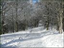 Vosges_08_02.jpg