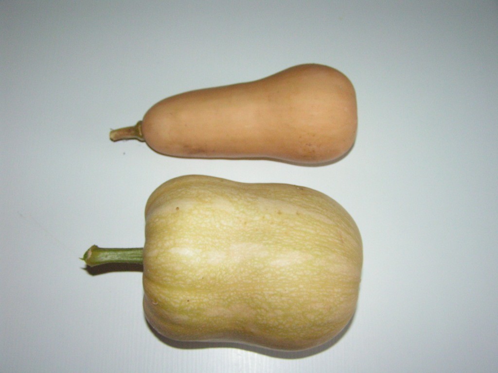 PIC_Butternut2.jpg