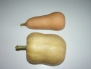 Nom du fichier=PIC_Butternut2.jpg
Taille du fichier=98Ko
Dimensions : 1024x768
Ajouté le : 02 Octobre 2013 PIC_Butternut2.jpg