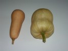 pic_butternut_3.jpg