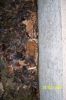000_0623.jpg