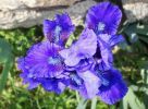 2008_04_27_060.jpg