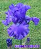 2008_05_13_004.jpg