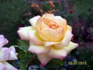 2010_07_05_(4)_[640x480].JPG