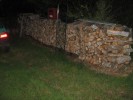 bois_2009_2.JPG
