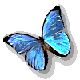papillon2.gif