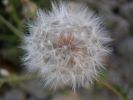 DSCN0555.JPG