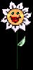 Fleurs-marguerittes-1.gif