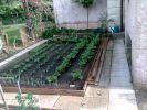 potager_2_170508.jpg