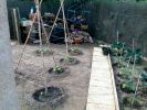 potager_4_170508.jpg