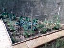 potager__170508.jpg