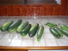 Nom du fichier=06-14-courgettes-a-farcir.jpg
Taille du fichier=41Ko
Dimensions : 450x338
Ajouté le : 18 Juin 2009 06-14-courgettes-a-farcir.jpg