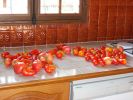 Nom du fichier=08-08-tomates3.jpg
Taille du fichier=39Ko
Dimensions : 400x300
Ajouté le : 04 Août 2008 08-08-tomates3.jpg