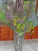 Nom du fichier=08-11-02-bouquet-bruyere.jpg
Taille du fichier=89Ko
Dimensions : 400x533
Ajouté le : 10 Décembre 2008 08-11-02-bouquet-bruyere.jpg