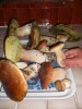 09-10-plateau-cepes1.jpg