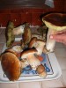 09-10-plateau-cepes2.jpg