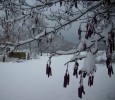 2012_neige_18.JPG