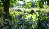Nom du fichier=ASTERS_20.JPG
Taille du fichier=154Ko
Dimensions : 700x412
Ajouté le : 27 Septembre 2014 ASTERS_20.JPG