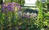 Nom du fichier=ASTERS_26.JPG
Taille du fichier=178Ko
Dimensions : 700x426
Ajouté le : 27 Septembre 2014 ASTERS_26.JPG