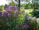 Nom du fichier=ASTERS_28.JPG
Taille du fichier=213Ko
Dimensions : 699x524
Ajouté le : 27 Septembre 2014 ASTERS_28.JPG