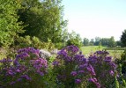 Nom du fichier=ASTERS_30.JPG
Taille du fichier=178Ko
Dimensions : 700x487
Ajouté le : 27 Septembre 2014 ASTERS_30.JPG