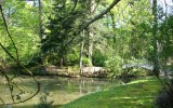 balaine_I0924.JPG