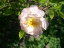 Nom du fichier=ghislaine_de_féligonde_2556.JPG
Taille du fichier=97Ko
Dimensions : 863x647
Ajouté le : 02 Juin 2009 ghislaine_de_féligonde_2556.JPG