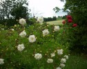Nom du fichier=ghislaine_de_féligonde_858.JPG
Taille du fichier=158Ko
Dimensions : 700x553
Ajouté le : 19 Juin 2013 ghislaine_de_féligonde_858.JPG