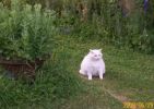 gros_baby_1005.JPG