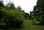 Nom du fichier=jardin_des_cèdres_75.JPG
Taille du fichier=146Ko
Dimensions : 700x471
Ajouté le : 04 Juin 2011 jardin_des_cèdres_75.JPG