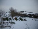 Nom du fichier=jardin_neige_27.JPG
Taille du fichier=173Ko
Dimensions : 698x524
Ajouté le : 18 Décembre 2009 jardin_neige_27.JPG