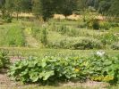 Nom du fichier=jardin_potager_1239.JPG
Taille du fichier=75Ko
Dimensions : 445x334
Ajouté le : 04 Août 2008 jardin_potager_1239.JPG