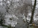 Nom du fichier=la_rivière_1572.JPG
Taille du fichier=86Ko
Dimensions : 471x354
Ajouté le : 14 Décembre 2008 la_rivière_1572.JPG