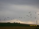 Nom du fichier=montgolfières_1249.JPG
Taille du fichier=33Ko
Dimensions : 426x319
Ajouté le : 06 Août 2008 montgolfières_1249.JPG