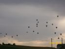 Nom du fichier=montgolfières_1251.JPG
Taille du fichier=24Ko
Dimensions : 439x329
Ajouté le : 06 Août 2008 montgolfières_1251.JPG