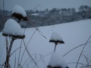 neige_achilléeI0837.JPG